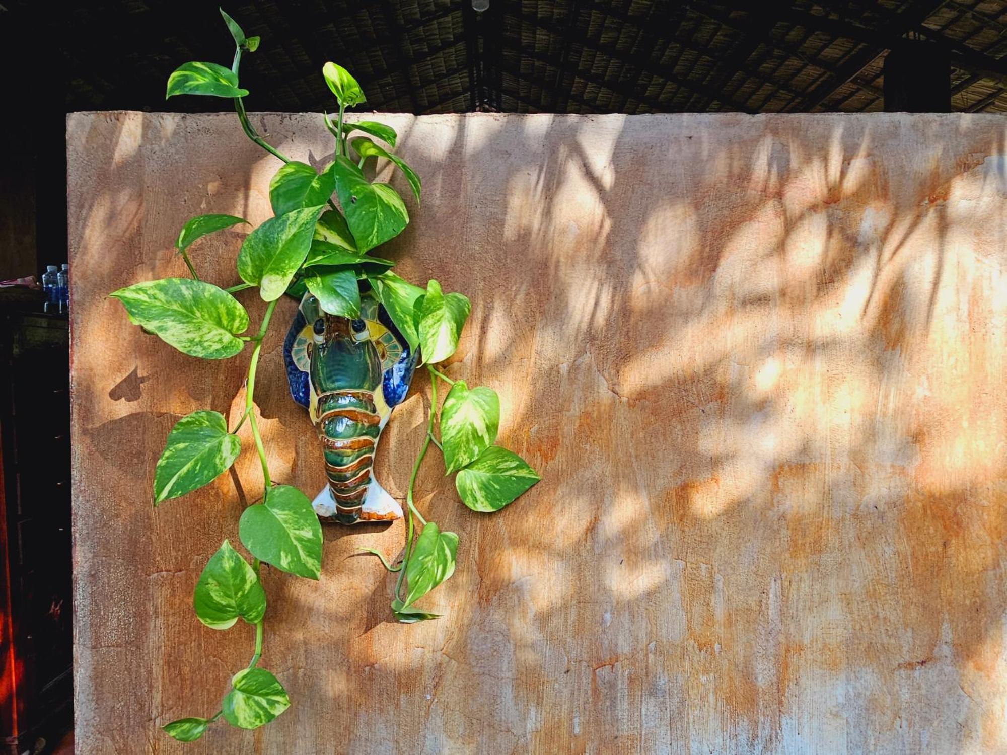 Ba Danh Homestay & Kitchen - Ben Tre Mekong Exterior photo